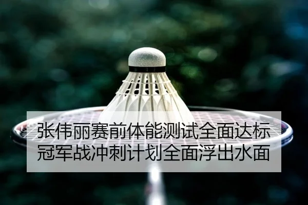 张伟丽赛前体能测试全面达标 冠军战冲刺计划全面浮出水面
